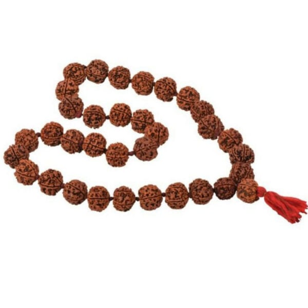 100% Pure Five Mukhi Rudraksh Mala - 15 mm - 54 Beads - 17" Long (Length) Chain/Mala - Image 2