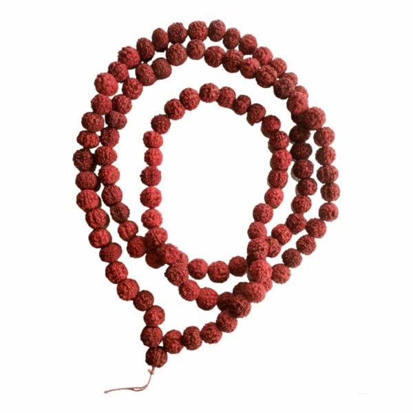 100 % Original Five Mukhi Rudraksh Mala - 14 mm -  108 + 1 Beads - 26" Long (Length) Chain/Mala - Image 3