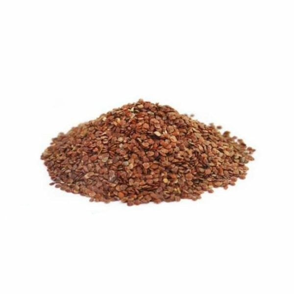 Talmakhana Seeds - Taal Makhana Beej - Kokilaksha Beej - Asteracantha Longifolia