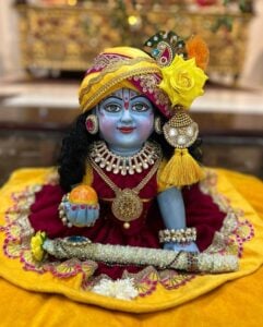 A Complete Guide to Laddu Gopal: 10 Essential Facts You Need to Know